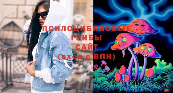 ПСИЛОЦИБИНОВЫЕ ГРИБЫ Майский