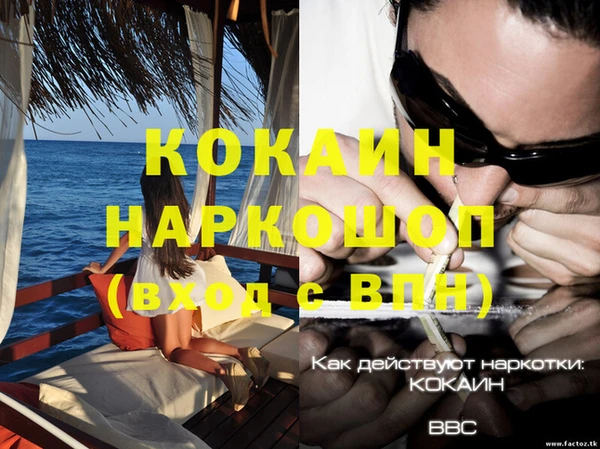 шишки Анжеро-Судженск