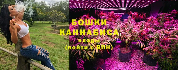 ПСИЛОЦИБИНОВЫЕ ГРИБЫ Майский