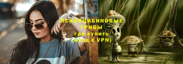 ПСИЛОЦИБИНОВЫЕ ГРИБЫ Майский